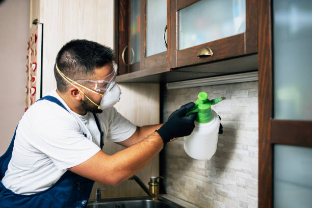 St Joseph, MN Pest Control Company