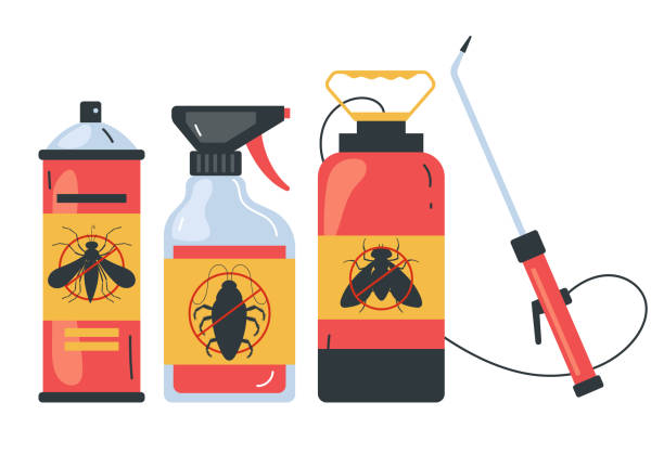 Best Insect Control  in St Joseph, MN