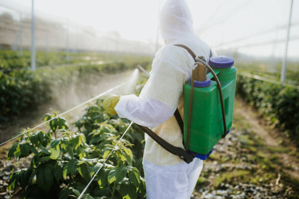 Best Emergency Pest Control  in St Joseph, MN